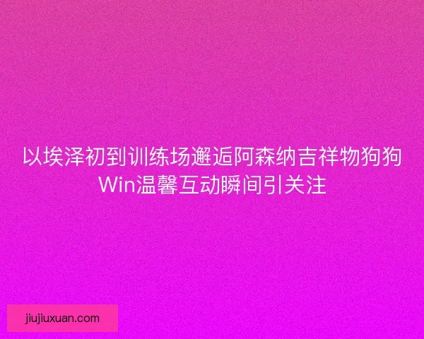 以埃泽初到训练场邂逅阿森纳吉祥物狗狗Win温馨互动瞬间引关注